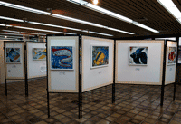 Exposição "Água, peixes e sustentabilidade" no Espaço Cultura Codevasf